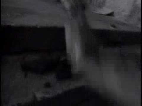 модные женские прически 2010 фото